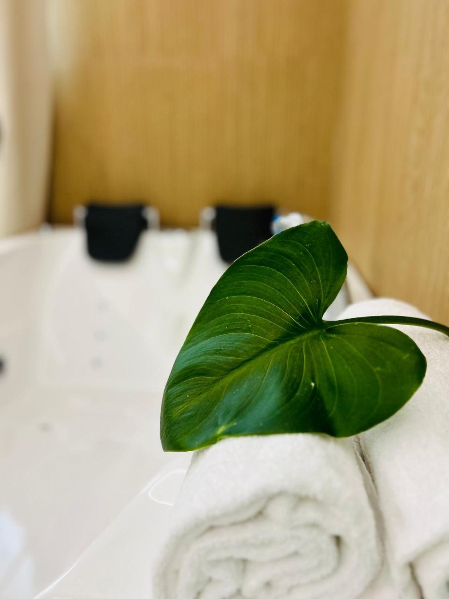Superior Double Room Indoor Spa Bath