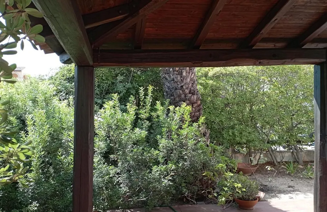 Domus Garden-1