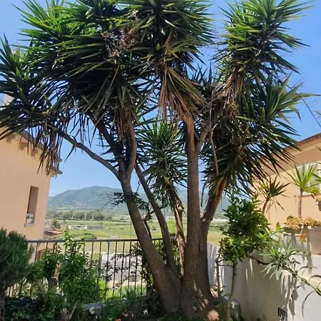 B&B Villa Orchidea-2